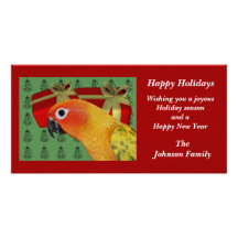 Sun Conure Parrot Animal Christmas Holiday Card Custom Photo Card