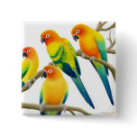 Sun Conure Parrots Pin