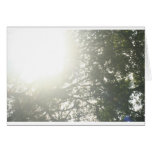 Sun dans le coin cartes de vœux