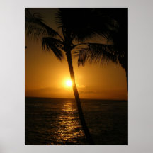 Sun dans les arbres, descendant affiches