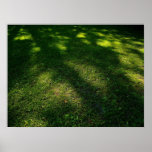 Sun Dappled Lawn Posters