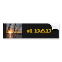 Sun Down at the Lake Bumper Stickers