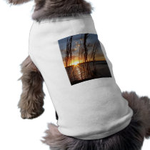 Sun Down at the Lake Dog Clothing