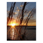 Sun Down at the Lake Postcards