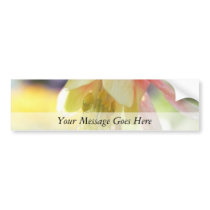 Sun Drenched Columbine Flower Bumper Stickers
