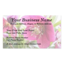Sun Drenched Hellebore Flower Business Card