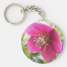 Sun Drenched Hellebore Flower Keychain