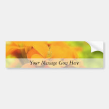 Sun Drenched Siberian Wallflower Bumper Stickers