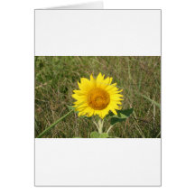sun flower card
