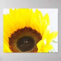 Sun Flower Poster