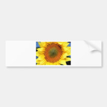 Sun Flowers Bumper Stickers