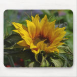 Sun Flowers Mouse Pad