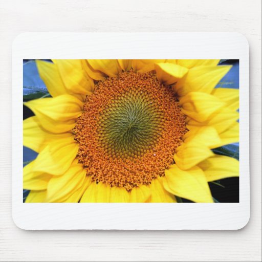 Sun Flowers Mouse Pad