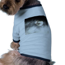 Sun Hidden Behind Dark Clouds Dog Shirt