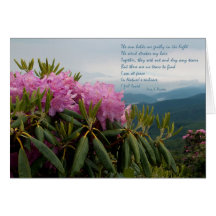 Sun Holds Me Gently Note Card