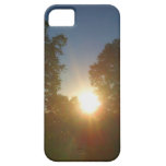 Sun In The Trees Iphone Case casemate cases