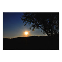 Sun is still shining photo