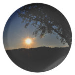 Sun is still shining dinner plate