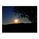 Sun is still shining postcards