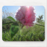Sun Kissed Clover Mouse Pad