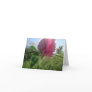Sun Kissed Clover Note Card