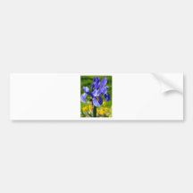 Sun light on blue iris bumper sticker