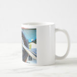 Sun N Fun 019 Coffee Mugs