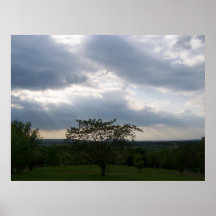 Sun Rays Shining Through Clouds and Tree Print
