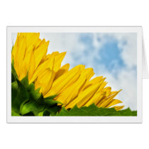sun rests cards