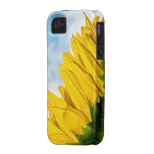 sun rests iPhone 4/4S covers