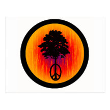 Sun Set Peace Post Card