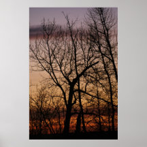 sun set with tree 1 posters