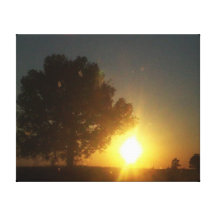 Sun Setting Stretched Canvas Print