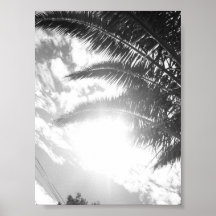 sun shining through palm print