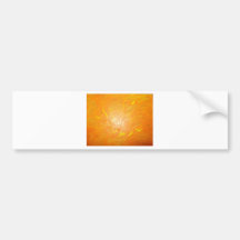 Sun Spot Bumper Sticker