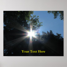 Sun & Trees Poster