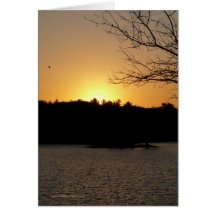 Sun vers le bas carte de vœux