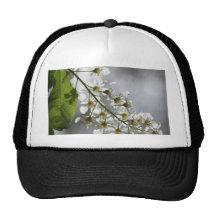 Sun white flower blossums hat