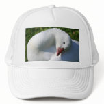 Sun Worshiping Duck Trucker Hat