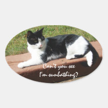 Sunbathing Cat Oval Stickers