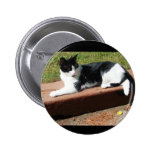 Sunbathing Cat Pin