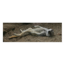 Sunbathing Meerkat Bookmark Business Card