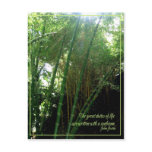Sunbeam Post Cards