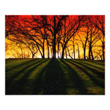 Sunburst Photo Art