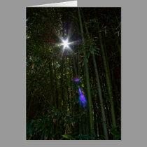 Sunburst Through the Bamboo note card cards