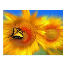 Sunday morning post cards