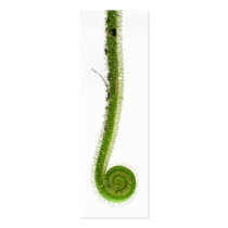 Sundew Frond Bookmark Business Card Templates