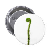 Sundew Frond buttons