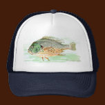 Sunfish hats