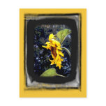 Sunflower 1 Postcard